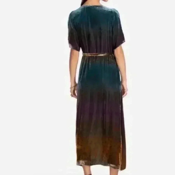 NWOT JOHNNY WAS Ombre Cheetah Print Velvet Midi Silk Wrap Dress Size XS - Picture 14 of 16